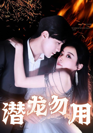 潜龙勿用（87集）UC网盘在线看