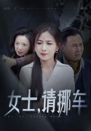 女士请挪车（29集）完整版免费观看