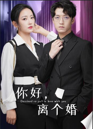 你好，离个婚（30集）第二季