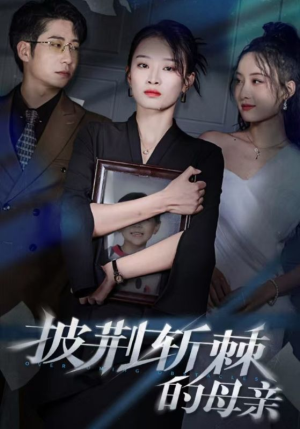 儿子死后绝望妈妈杀翻全场 （41集）真的好看吗