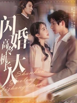 闪婚高冷机长大人（92集）海量短剧免费看