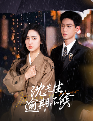 沈先生，逾期不候（75集）短剧热门分享