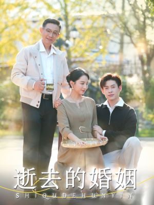逝去的婚姻（60集）免费短剧完整版