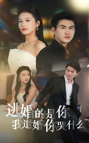 逃婚的是你我退婚你哭什么（71集）百度网盘资源