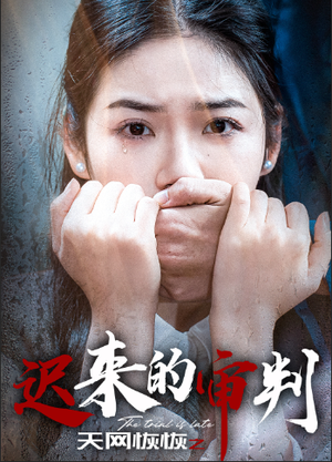 天网恢恢之迟来的审判（31集）女主谁演的