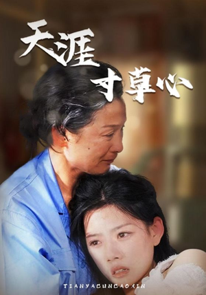 天涯寸草心（76集）哪个网站可以看