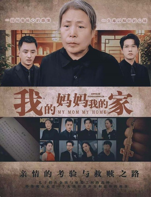 我的妈妈我的家（66集）短剧解说全集