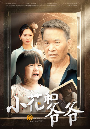小花和爷爷（80集）短剧视频分享