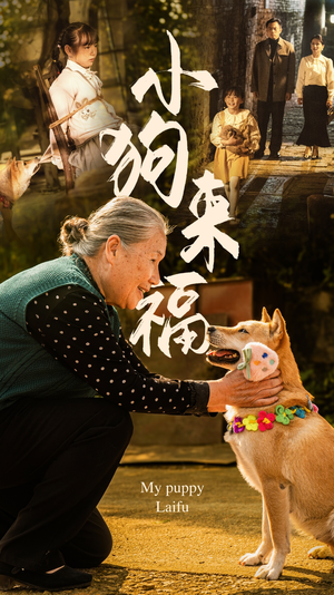 小狗来福（30集）短剧免费看