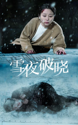 雪夜破晓（36集）在线免费观看