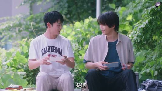 向阳之处必有声（12集）在线观看全集
