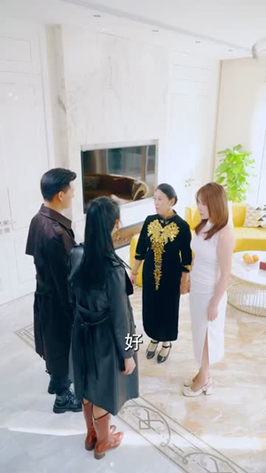 杏林逸韵（100集）一共多少集