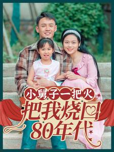 小舅子一把火把我烧回80年代（100集）高分佳作免费看
