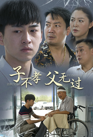 子不孝父无过（30集）全集一次看完