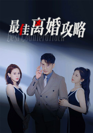 最佳离婚攻略（31集）每天分享短剧