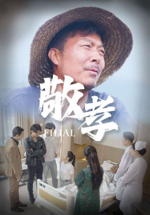 敬孝（61集）热门短剧抢先看