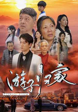 游子归家（88集）免费热门短剧