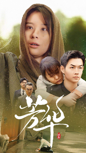 芳华（80集）短剧介绍