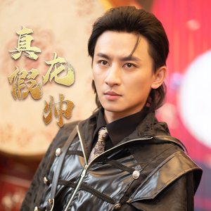 真假龙帅（81集）短剧演员排行榜