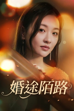 婚途陌路（15集）短剧太精彩了