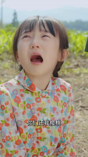 岁月如金1983（70集）简直不要太好看