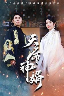 天命神婿（80集）最热短剧推荐