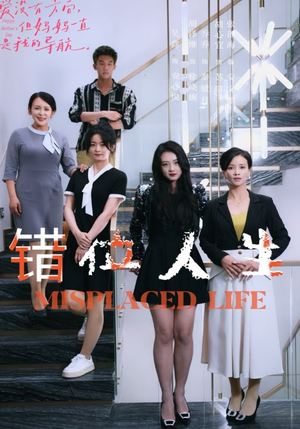 错位人生（89集）360网盘观看