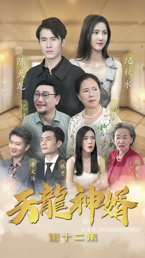 天龙神婿（80集）免费短剧资源