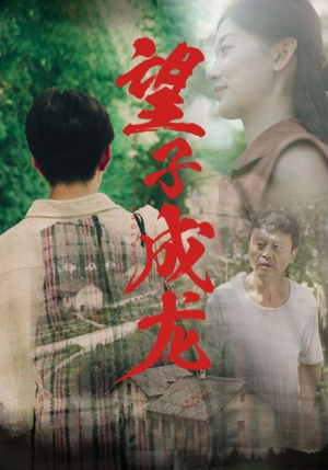 望子成龙（74集）看过的人都说好