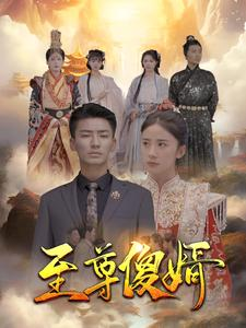 至尊傻婿（82集）精彩短剧看不停