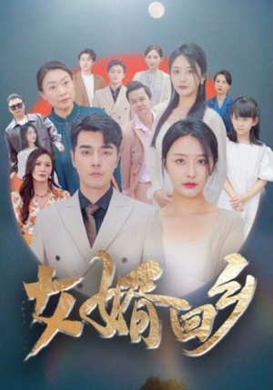 女婿回乡（120集）全集一网打尽