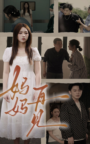 妈妈，再见（28集）常回家看看短剧