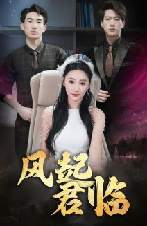 风起君临（83集）热门短剧推广
