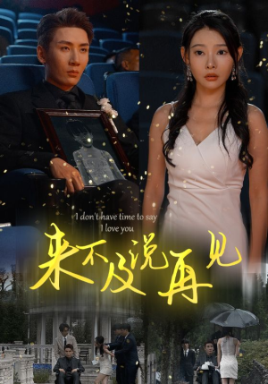 来不及说再见（30集）最热短剧推荐