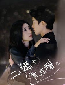 二婚有点甜（88集）百度网盘资源