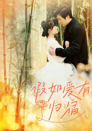 假如爱有归宿（73集）全集免费观看