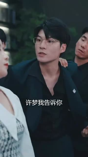 女老板的复仇（33集）演的怎么样