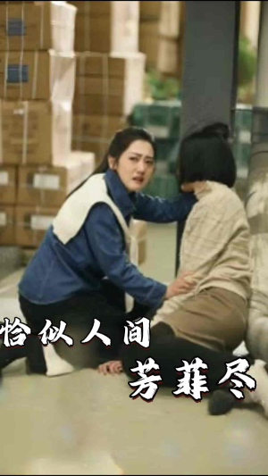 恰似人间芳菲尽（68集）短剧精彩片段