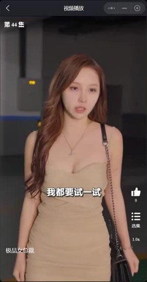 我的富豪美女总裁（我的极品女总裁）热门短剧抢先