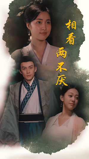 相看两不厌（85集）全集在线看