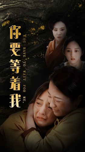 你要等着我（85集）免费短剧大全