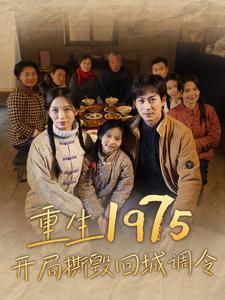 重生1975开局撕毁回城调令（83集）排行榜前十短剧