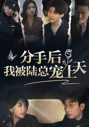 分手后，我被陆总宠上天（76集）甜宠短剧推荐