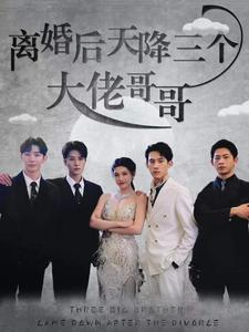 离婚后天降三个大佬哥哥（83集）好看短剧抢先看