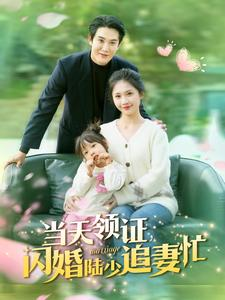 当天领证闪婚陆少追妻忙（80集）免费看