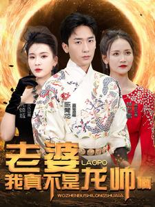 老婆我真不是龙帅啊（95集）免费在线看全集