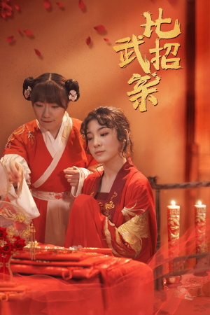 比武招亲（61集）观看软件