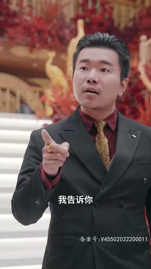 潜龙出山之我为王（100集）在线观看完整版
