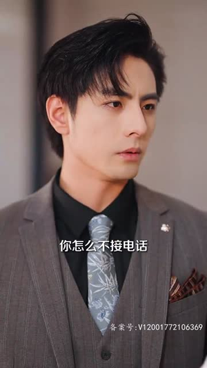 我们爱过又忘记（101集）在线看完整版