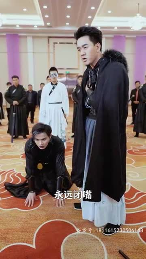 九个我（71集）好看的短剧电影